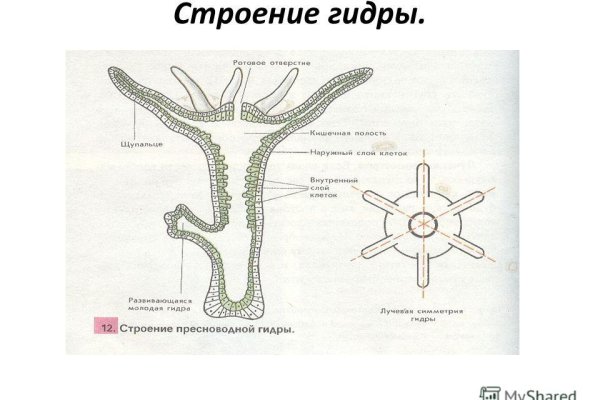 Kraken darknet market ссылка